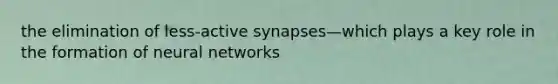 the elimination of less-active synapses—which plays a key role in the formation of neural networks