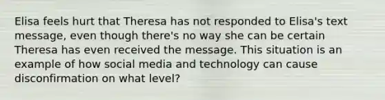 Elisa feels hurt that Theresa has not responded to Elisa's text message, even though there's no way she can be certain Theresa has even received the message. This situation is an example of how social media and technology can cause disconfirmation on what level?