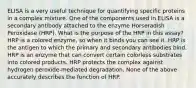 ELISA is a very useful technique for quantifying specific proteins in a complex mixture. One of the components used in ELISA is a secondary antibody attached to the enzyme Horseradish Peroxidase (HRP). What is the purpose of the HRP in this assay? HRP is a colored enzyme, so when it binds you can see it. HRP is the antigen to which the primary and secondary antibodies bind. HRP is an enzyme that can convert certain colorless substrates into colored products. HRP protects the complex against hydrogen peroxide-mediated degradation. None of the above accurately describes the function of HRP.