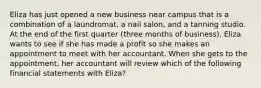 Eliza has just opened a new business near campus that is a combination of a laundromat, a nail salon, and a tanning studio. At the end of the first quarter (three months of business), Eliza wants to see if she has made a profit so she makes an appointment to meet with her accountant. When she gets to the appointment, her accountant will review which of the following financial statements with Eliza?