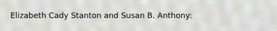 Elizabeth Cady Stanton and Susan B. Anthony: