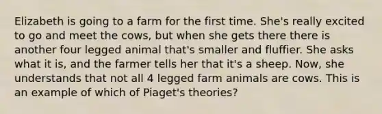 Elizabeth is going to a farm for the first time. She's really excited to go and meet the cows, but when she gets there there is another four legged animal that's smaller and fluffier. She asks what it is, and the farmer tells her that it's a sheep. Now, she understands that not all 4 legged farm animals are cows. This is an example of which of Piaget's theories?