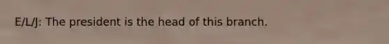 E/L/J: The president is the head of this branch.