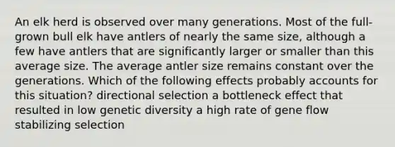 An elk herd is observed over many generations. Most of the full-grown bull elk have antlers of nearly the same size, although a few have antlers that are significantly larger or smaller than this average size. The average antler size remains constant over the generations. Which of the following effects probably accounts for this situation? directional selection a bottleneck effect that resulted in low genetic diversity a high rate of gene flow stabilizing selection