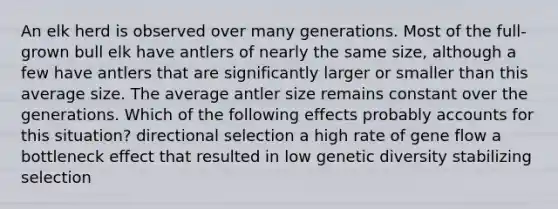 An elk herd is observed over many generations. Most of the full-grown bull elk have antlers of nearly the same size, although a few have antlers that are significantly larger or smaller than this average size. The average antler size remains constant over the generations. Which of the following effects probably accounts for this situation? directional selection a high rate of gene flow a bottleneck effect that resulted in low genetic diversity stabilizing selection