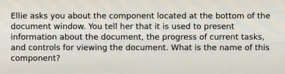 Ellie asks you about the component located at the bottom of the document window. You tell her that it is used to present information about the document, the progress of current tasks, and controls for viewing the document. What is the name of this component?​