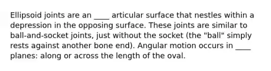 Ellipsoid joints are an ____ articular surface that nestles within a depression in the opposing surface. These joints are similar to ball-and-socket joints, just without the socket (the "ball" simply rests against another bone end). Angular motion occurs in ____ planes: along or across the length of the oval.