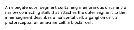 An elongate outer segment containing membranous discs and a narrow connecting stalk that attaches the outer segment to the inner segment describes a horizontal cell. a ganglion cell. a photoreceptor. an amacrine cell. a bipolar cell.