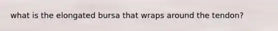 what is the elongated bursa that wraps around the tendon?