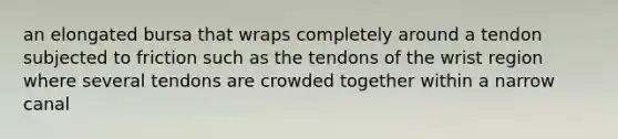 an elongated bursa that wraps completely around a tendon subjected to friction such as the tendons of the wrist region where several tendons are crowded together within a narrow canal