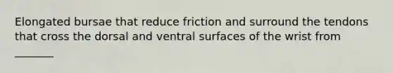 Elongated bursae that reduce friction and surround the tendons that cross the dorsal and ventral surfaces of the wrist from _______