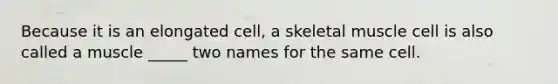 Because it is an elongated cell, a skeletal muscle cell is also called a muscle _____ two names for the same cell.