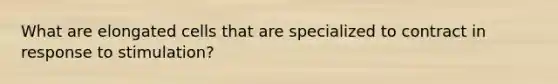 What are elongated cells that are specialized to contract in response to stimulation?