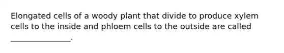 Elongated cells of a woody plant that divide to produce xylem cells to the inside and phloem cells to the outside are called _______________.