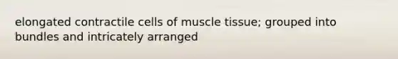 elongated contractile cells of <a href='https://www.questionai.com/knowledge/kMDq0yZc0j-muscle-tissue' class='anchor-knowledge'>muscle tissue</a>; grouped into bundles and intricately arranged