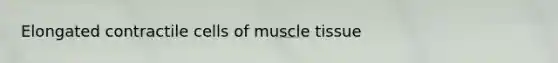 Elongated contractile cells of <a href='https://www.questionai.com/knowledge/kMDq0yZc0j-muscle-tissue' class='anchor-knowledge'>muscle tissue</a>