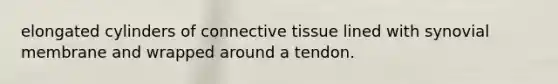 elongated cylinders of <a href='https://www.questionai.com/knowledge/kYDr0DHyc8-connective-tissue' class='anchor-knowledge'>connective tissue</a> lined with synovial membrane and wrapped around a tendon.