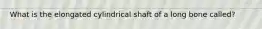 What is the elongated cylindrical shaft of a long bone called?