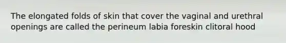 The elongated folds of skin that cover the vaginal and urethral openings are called the perineum labia foreskin clitoral hood