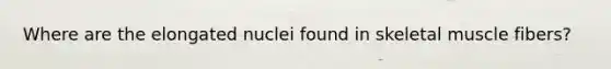 Where are the elongated nuclei found in skeletal muscle fibers?
