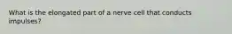 What is the elongated part of a nerve cell that conducts impulses?