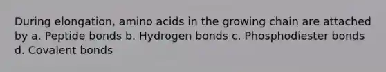 During elongation, amino acids in the growing chain are attached by a. Peptide bonds b. Hydrogen bonds c. Phosphodiester bonds d. Covalent bonds