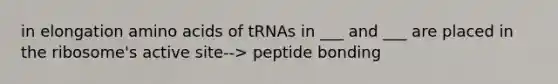 in elongation amino acids of tRNAs in ___ and ___ are placed in the ribosome's active site--> peptide bonding