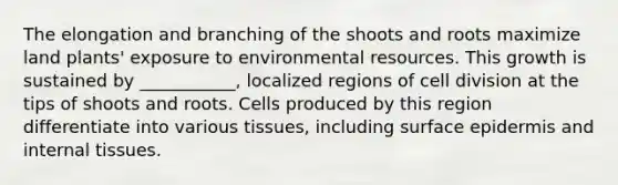 The elongation and branching of the shoots and roots maximize land plants' exposure to environmental resources. This growth is sustained by ___________, localized regions of cell division at the tips of shoots and roots. Cells produced by this region differentiate into various tissues, including surface epidermis and internal tissues.