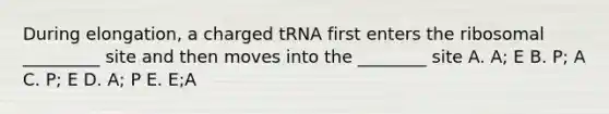 During elongation, a charged tRNA first enters the ribosomal _________ site and then moves into the ________ site A. A; E B. P; A C. P; E D. A; P E. E;A