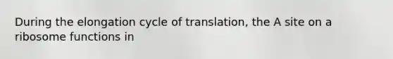 During the elongation cycle of translation, the A site on a ribosome functions in