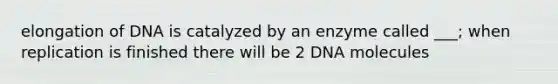 elongation of DNA is catalyzed by an enzyme called ___; when replication is finished there will be 2 DNA molecules