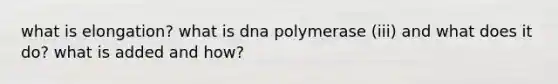 what is elongation? what is dna polymerase (iii) and what does it do? what is added and how?