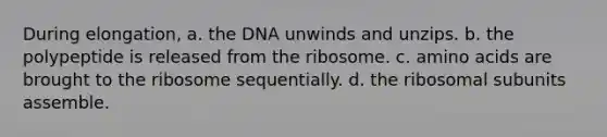 During elongation, a. the DNA unwinds and unzips. b. the polypeptide is released from the ribosome. c. <a href='https://www.questionai.com/knowledge/k9gb720LCl-amino-acids' class='anchor-knowledge'>amino acids</a> are brought to the ribosome sequentially. d. the ribosomal subunits assemble.