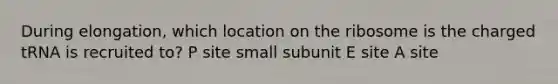 During elongation, which location on the ribosome is the charged tRNA is recruited to? P site small subunit E site A site