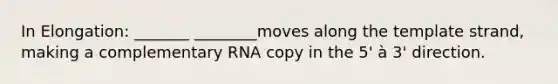 In Elongation: _______ ________moves along the template strand, making a complementary RNA copy in the 5' à 3' direction.