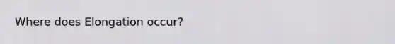 Where does Elongation occur?