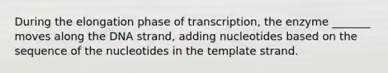 During the elongation phase of transcription, the enzyme _______ moves along the DNA strand, adding nucleotides based on the sequence of the nucleotides in the template strand.