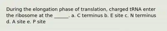 During the elongation phase of translation, charged tRNA enter the ribosome at the ______. a. C terminus b. E site c. N terminus d. A site e. P site