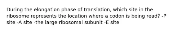 During the elongation phase of translation, which site in the ribosome represents the location where a codon is being read? -P site -A site -the large ribosomal subunit -E site