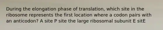 During the elongation phase of translation, which site in the ribosome represents the first location where a codon pairs with an anticodon? A site P site the large ribosomal subunit E sitE