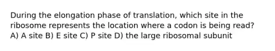 During the elongation phase of translation, which site in the ribosome represents the location where a codon is being read? A) A site B) E site C) P site D) the large ribosomal subunit