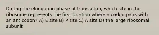 During the elongation phase of translation, which site in the ribosome represents the first location where a codon pairs with an anticodon? A) E site B) P site C) A site D) the large ribosomal subunit