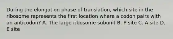 During the elongation phase of translation, which site in the ribosome represents the first location where a codon pairs with an anticodon? A. The large ribosome subunit B. P site C. A site D. E site