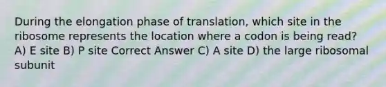 During the elongation phase of translation, which site in the ribosome represents the location where a codon is being read? A) E site B) P site Correct Answer C) A site D) the large ribosomal subunit