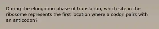 During the elongation phase of translation, which site in the ribosome represents the first location where a codon pairs with an anticodon?