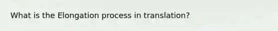 What is the Elongation process in translation?