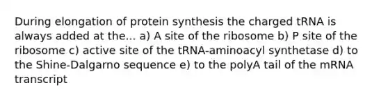 During elongation of protein synthesis the charged tRNA is always added at the... a) A site of the ribosome b) P site of the ribosome c) active site of the tRNA-aminoacyl synthetase d) to the Shine-Dalgarno sequence e) to the polyA tail of the mRNA transcript