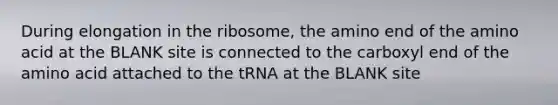 During elongation in the ribosome, the amino end of the amino acid at the BLANK site is connected to the carboxyl end of the amino acid attached to the tRNA at the BLANK site