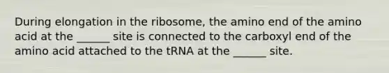 During elongation in the ribosome, the amino end of the amino acid at the ______ site is connected to the carboxyl end of the amino acid attached to the tRNA at the ______ site.