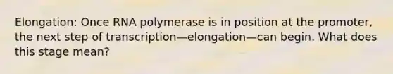 Elongation: Once RNA polymerase is in position at the promoter, the next step of transcription—elongation—can begin. What does this stage mean?